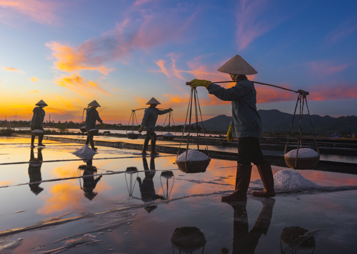 Vietnam Photo Tours - Salt fields