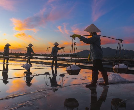 Vietnam Photo Tours - Salt fields