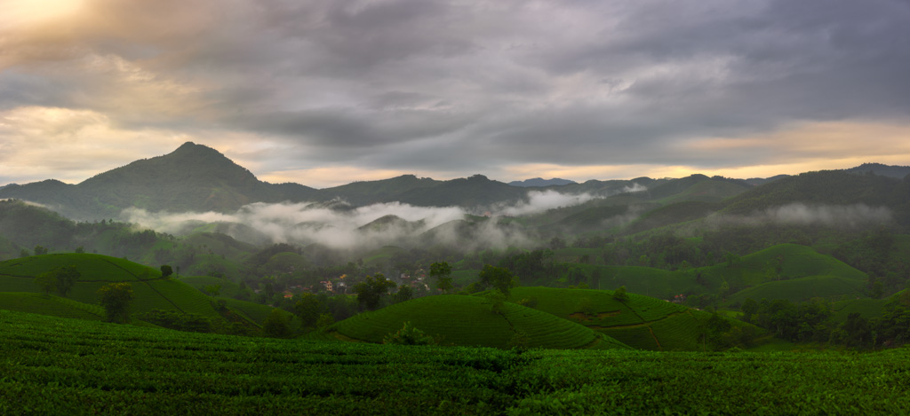 VIetnam Photo Tour - Long Coc Tea Hills - Oli Haukur Valtysson
